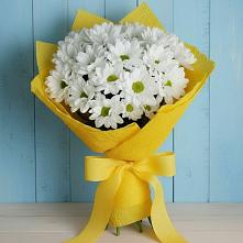 Букет цветов из:  Хризантемы в Ивантеевке Саратовской области