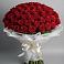 Букет 101 Красная роза Блэк Мэджик в Ивантеевке Саратовской области