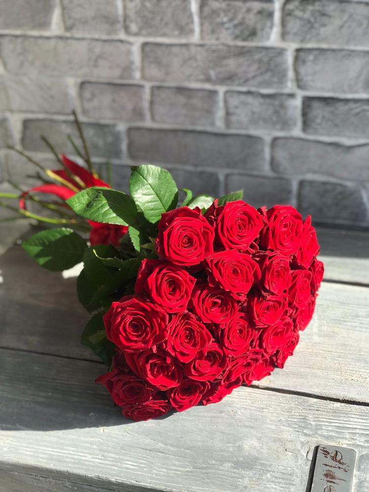 Букет Красные розы Фридом в Ивантеевке Саратовской области