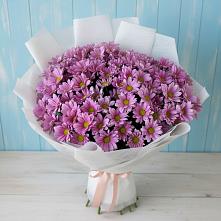 Букет цветов из:  Хризантемы в Ивантеевке Саратовской области