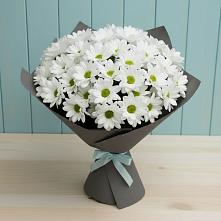 Букет цветов из:  Хризантемы #REPLACE_PRED# Ивантеевке Саратовской области