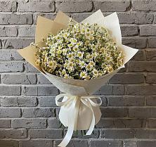 Букет цветов из:  Ромашки в Ивантеевке Саратовской области