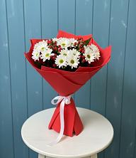 Букет цветов из:  Хризантемы в Ивантеевке Саратовской области