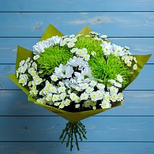 Букет цветов из:  Хризантемы в Ивантеевке Саратовской области