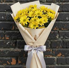 Букет цветов из:  Хризантемы в Ивантеевке Саратовской области