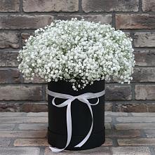 Цветочная композиция из Гипсофила в шляпной коробке в Ивантеевке Саратовской области