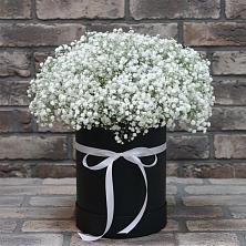 Цветочная композиция из Гипсофила в шляпной коробке в Ивантеевке Саратовской области