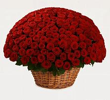 Премиум букет из: Розы в Ивантеевке Саратовской области